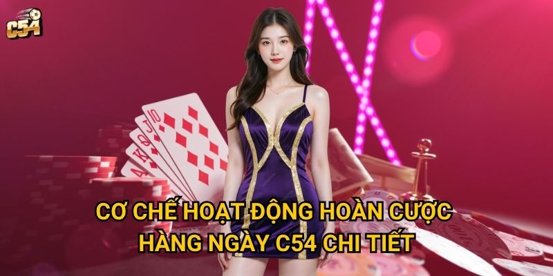 Tại sao hoàn cược hàng ngày lại trở thành chương trình hấp dẫn tại C54? 2 Cơ chế hoạt động hoàn cược hàng ngày C54 chi tiết