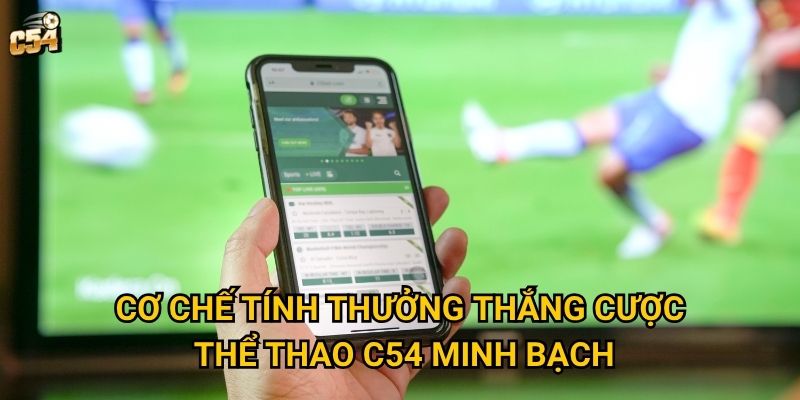 Chương trình thưởng thắng cược thể thao có gì đặc biệt tại C54? 2 Cơ chế tính thưởng thắng cược thể thao C54 minh bạch